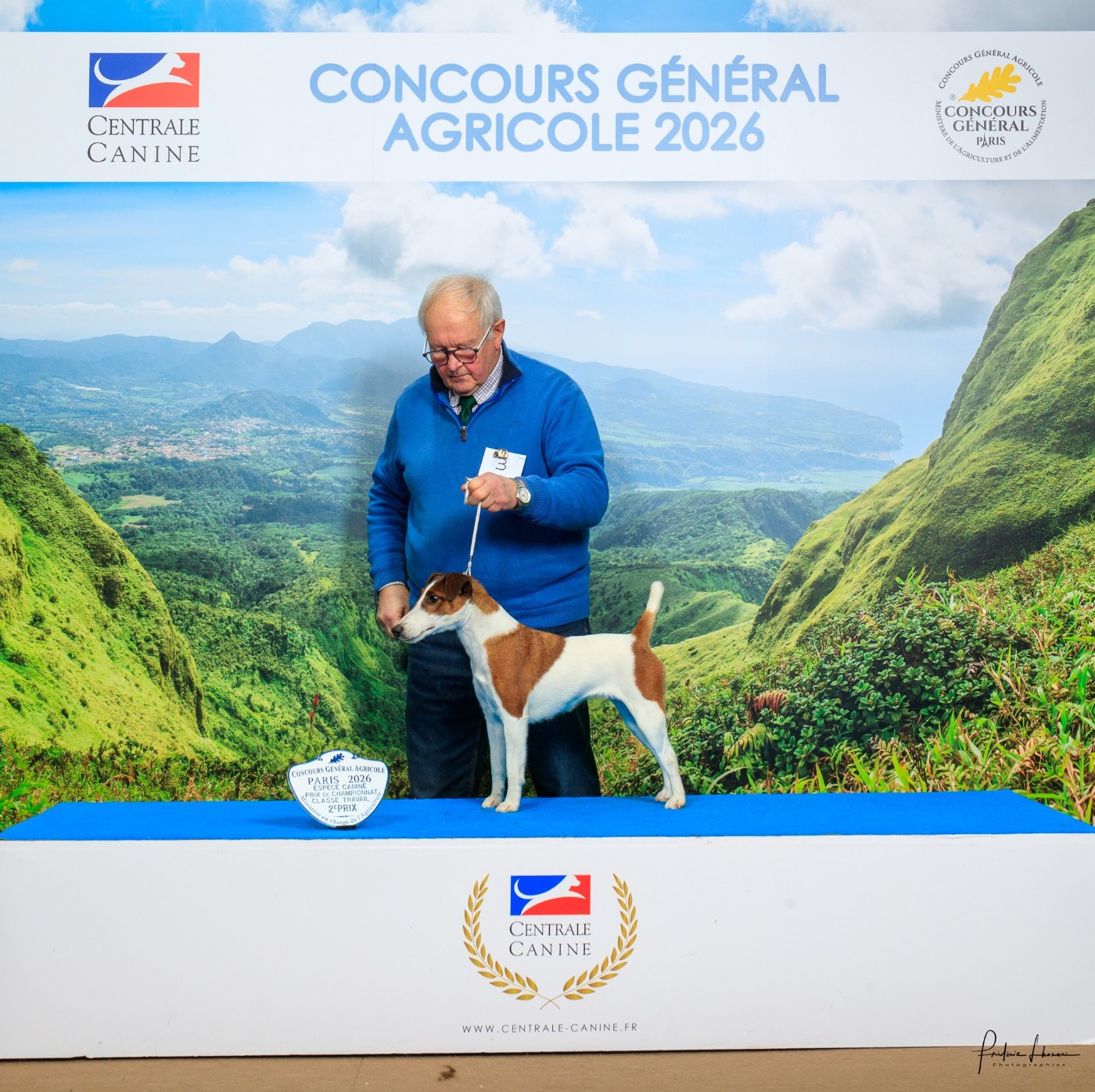 SHELBY D'hondrecoutre